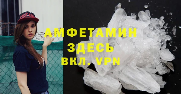 стаф Алексин