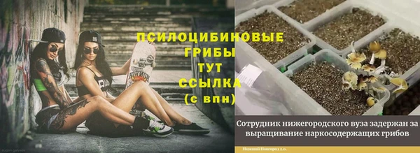 mdpv Алексеевка