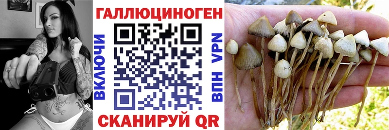 Галлюциногенные грибы ЛСД  Кыштым 
